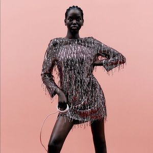 Zara Fringed Sequin Dress